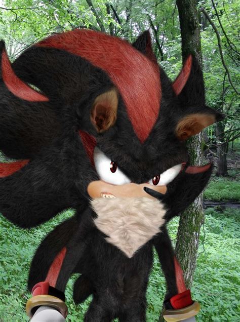 real shadow the hedgehog